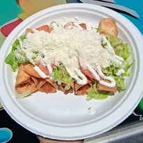 Crispy Rolled Taquitos